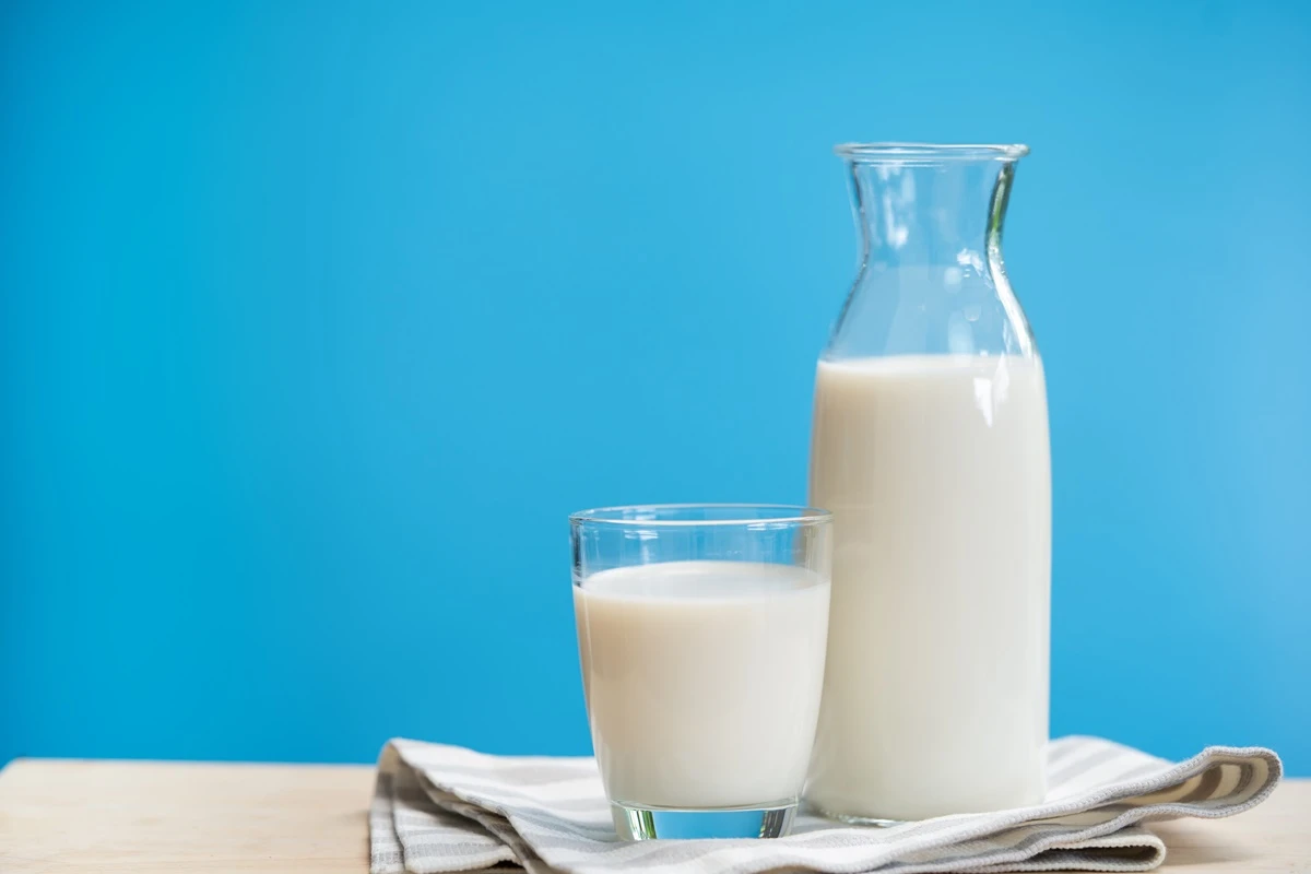 Leite inflama? Estudo analisa efeitos da proteína da bebida no corpo