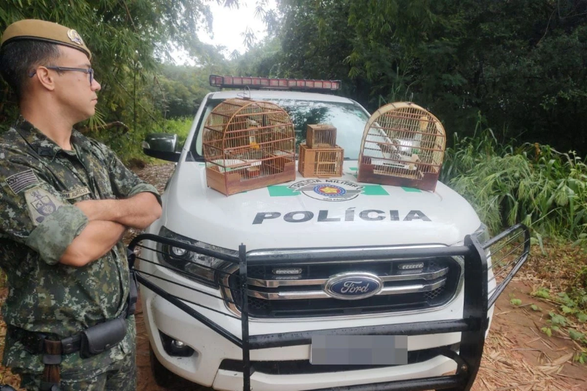 Vídeo: homem é multado por manter azulão e bigodinho em cativeiro