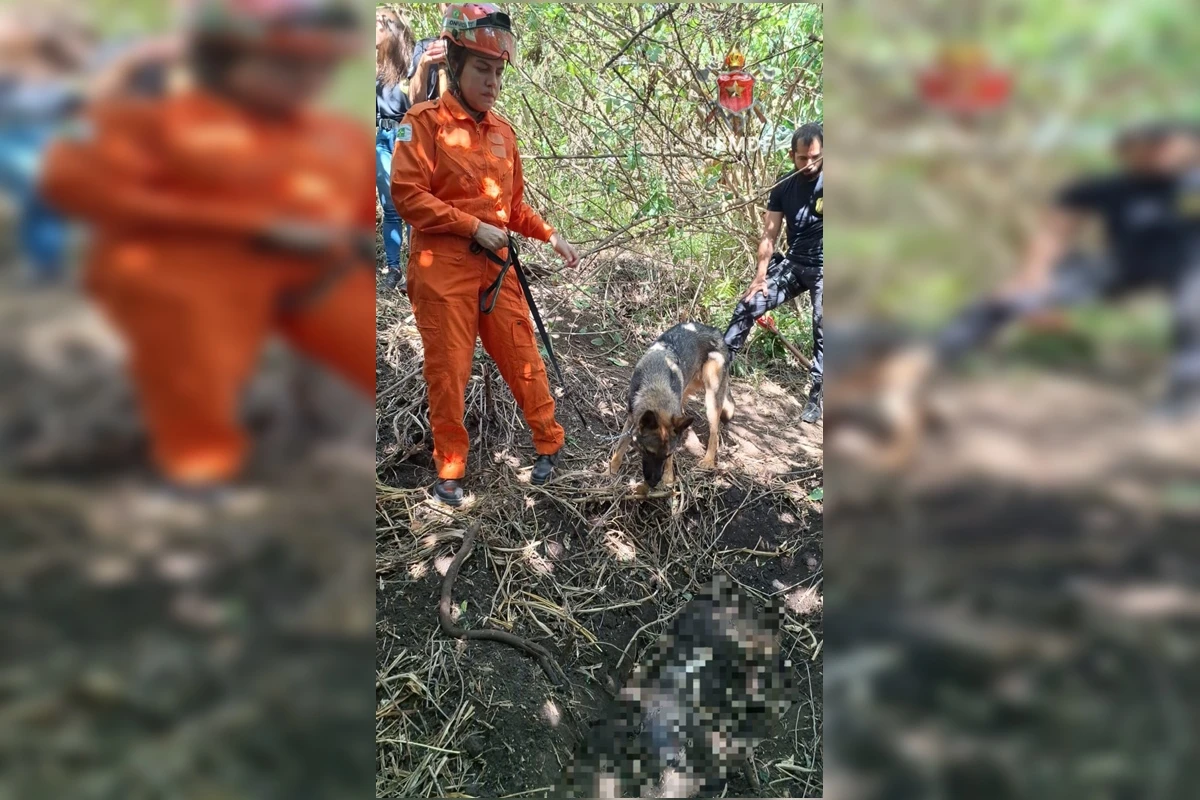 Corpo de mulher enterrado foi localizado após denúncia anônima à PCDF