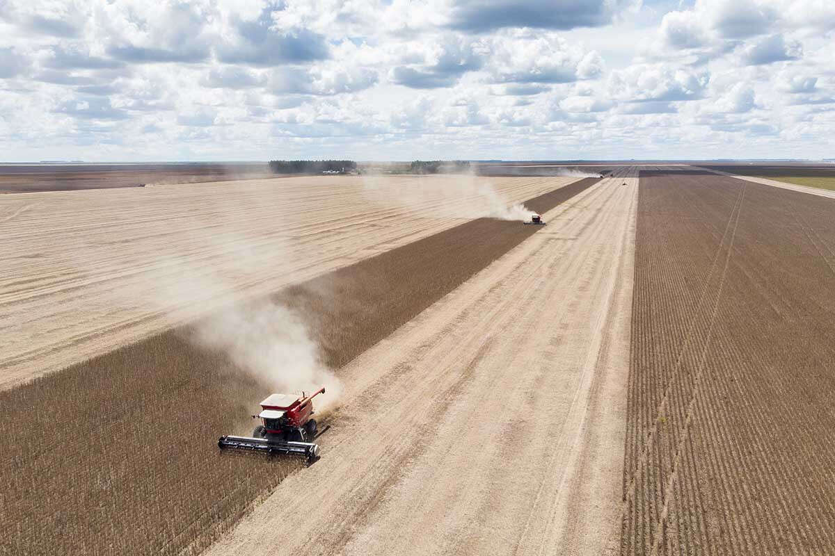 La Niña deve chegar na primavera. Saiba como fenômeno afeta o Brasil