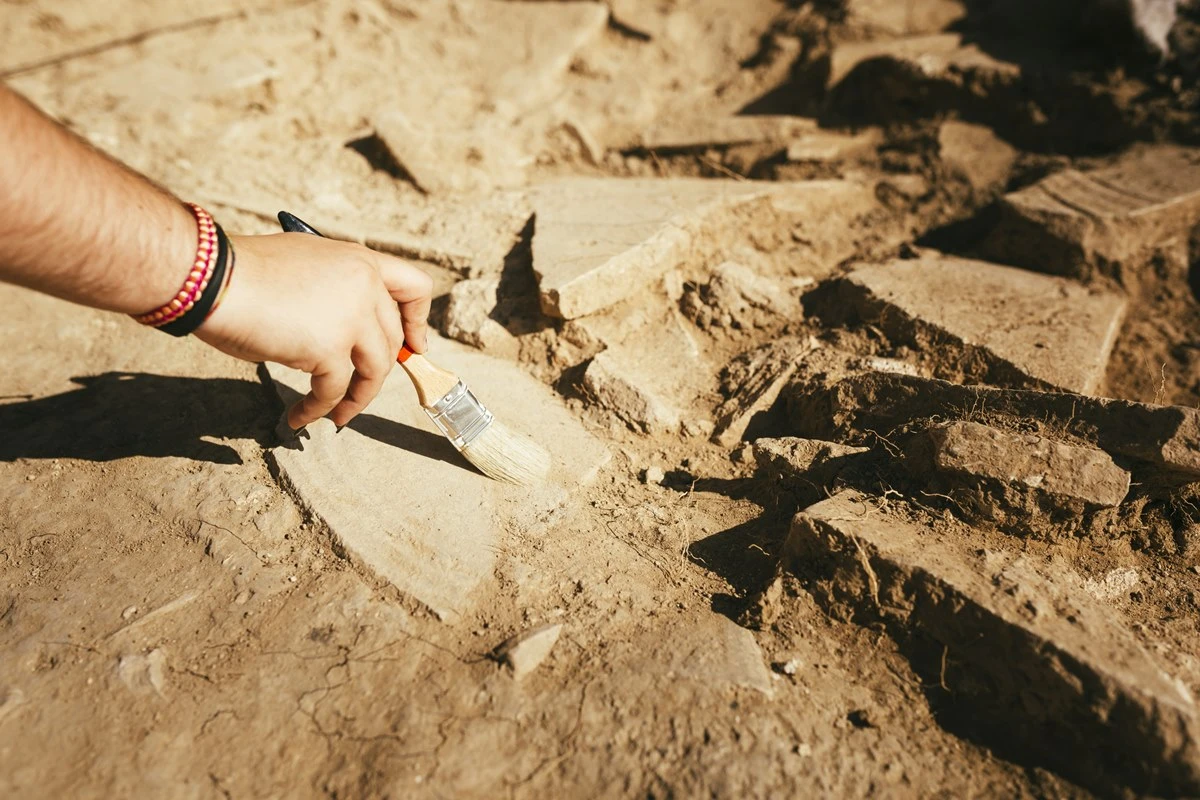 Patógenos antigos em DNA revelam origem de doenças há 6,5 mil anos
