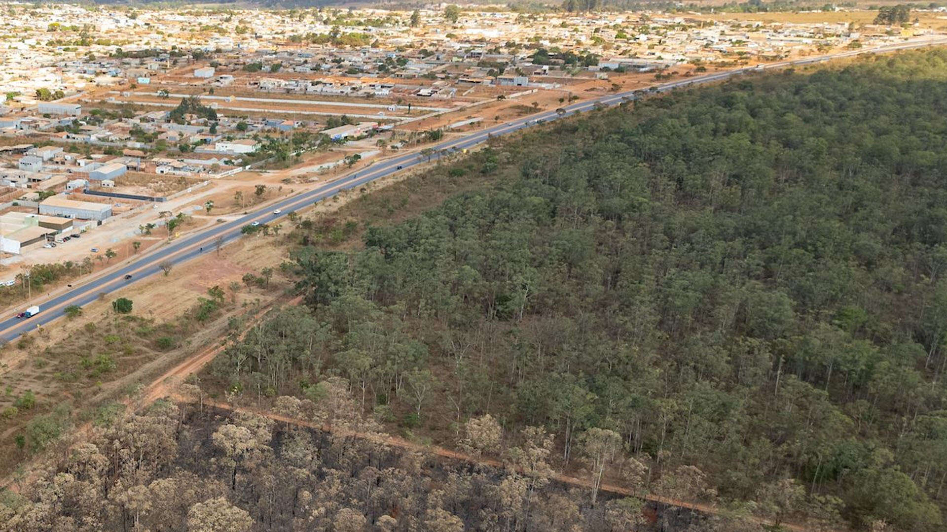 Foco de grilagem e queimada no DF, área da Flona tem 347 imóveis rurais