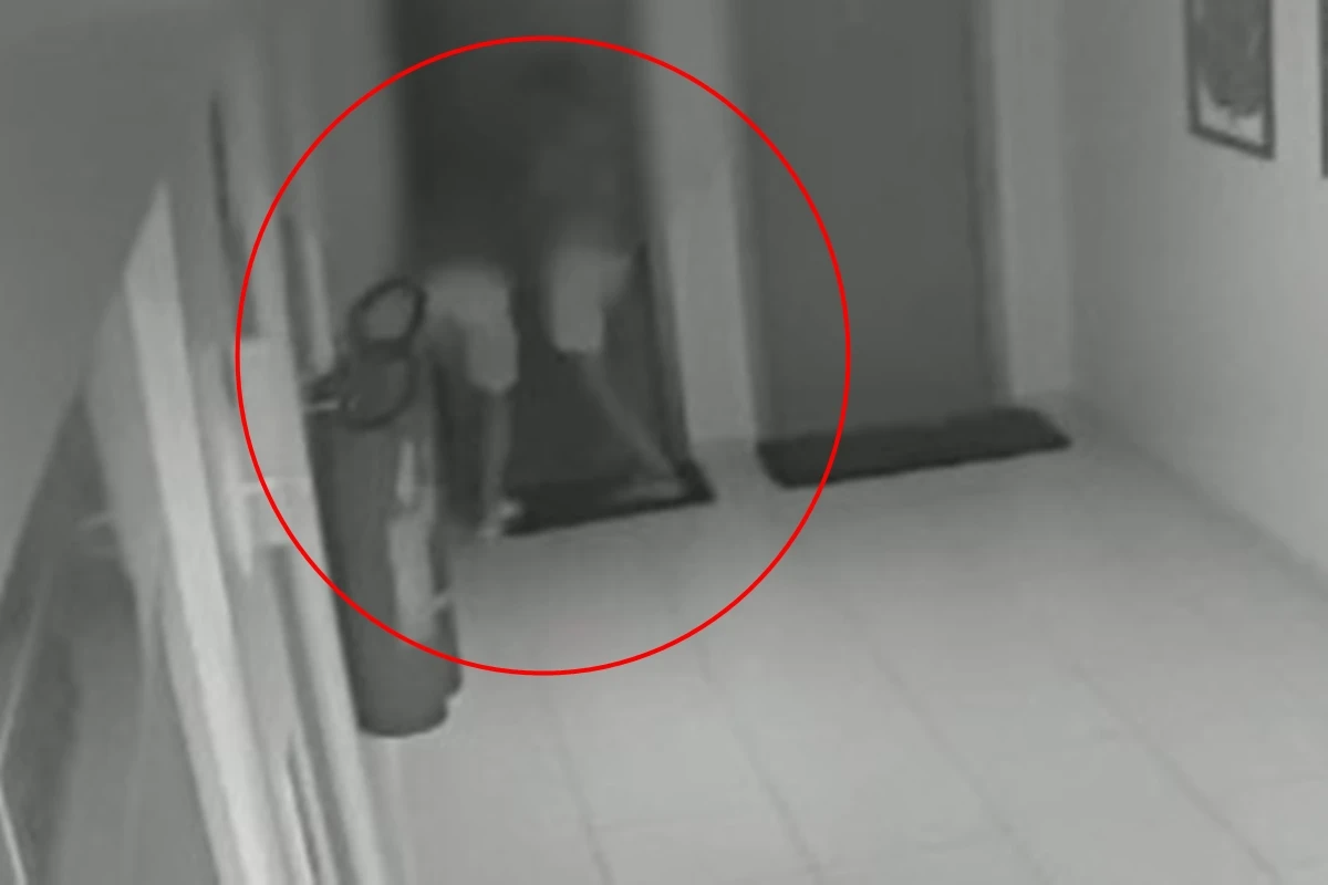 Vídeo: quadrilha furta joias e R$ 600 mil em apartamento de luxo em GO