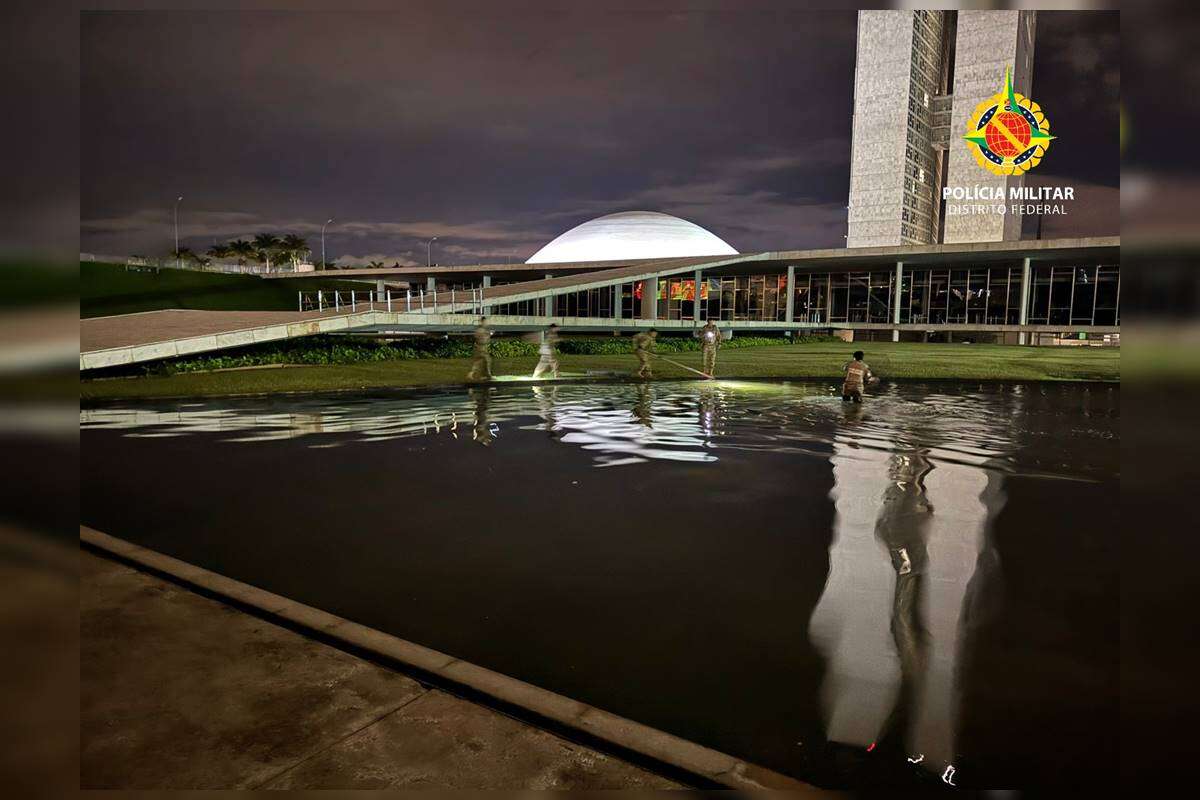 Capivara “invade” espelho d’água do Congresso Nacional