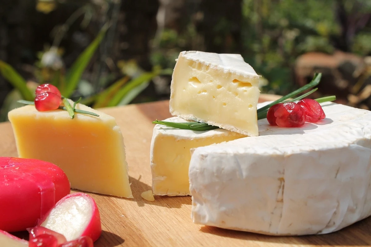 Queijo brasileiro está entre os 100 melhores do mundo; veja ranking