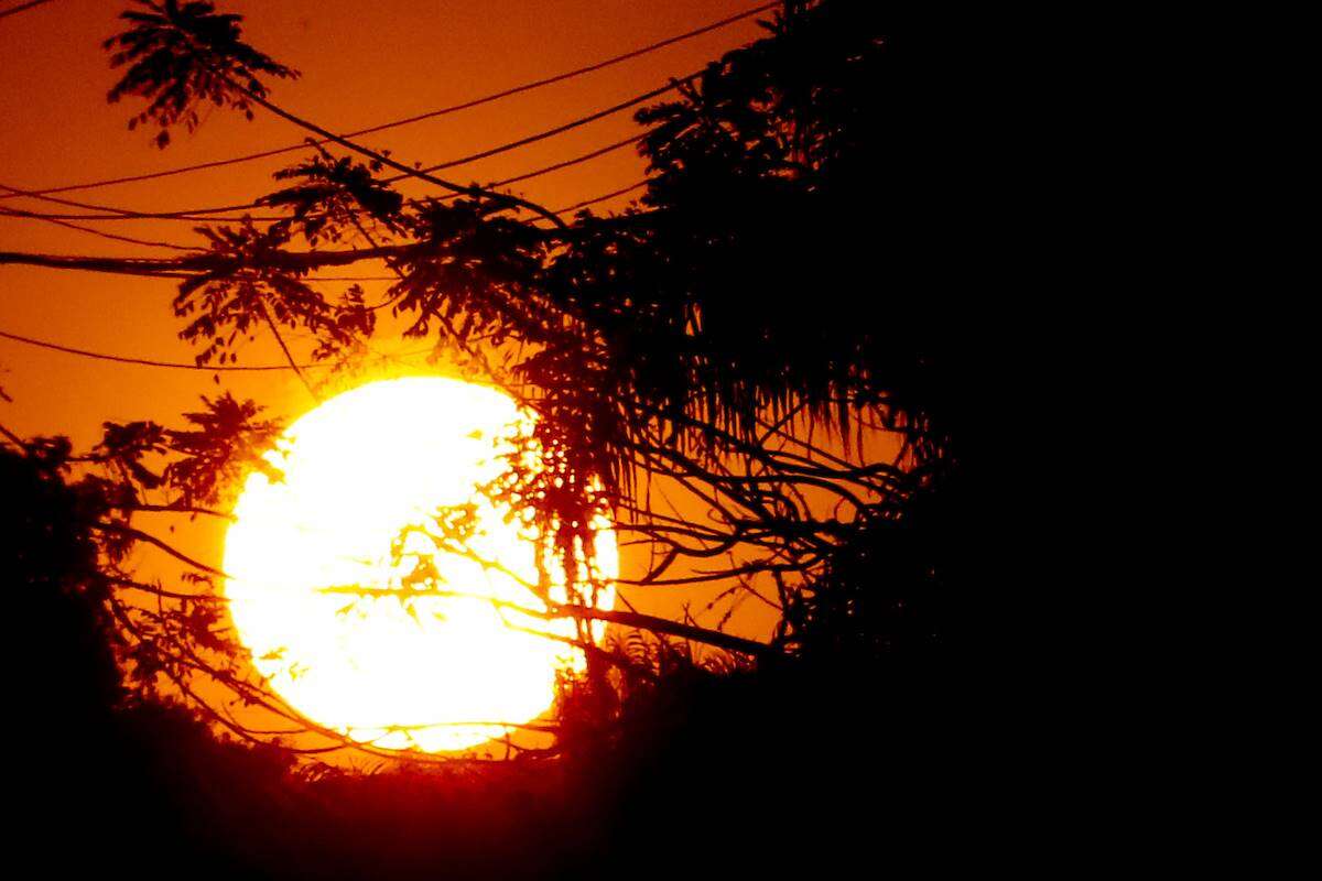 O desafio da emergência climática e o agronegócio (por José Dirceu)