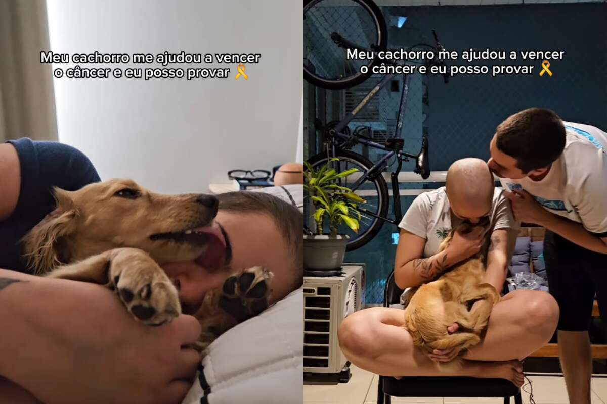 Mulher emociona ao contar como seu cão a ajudou a superar um câncer