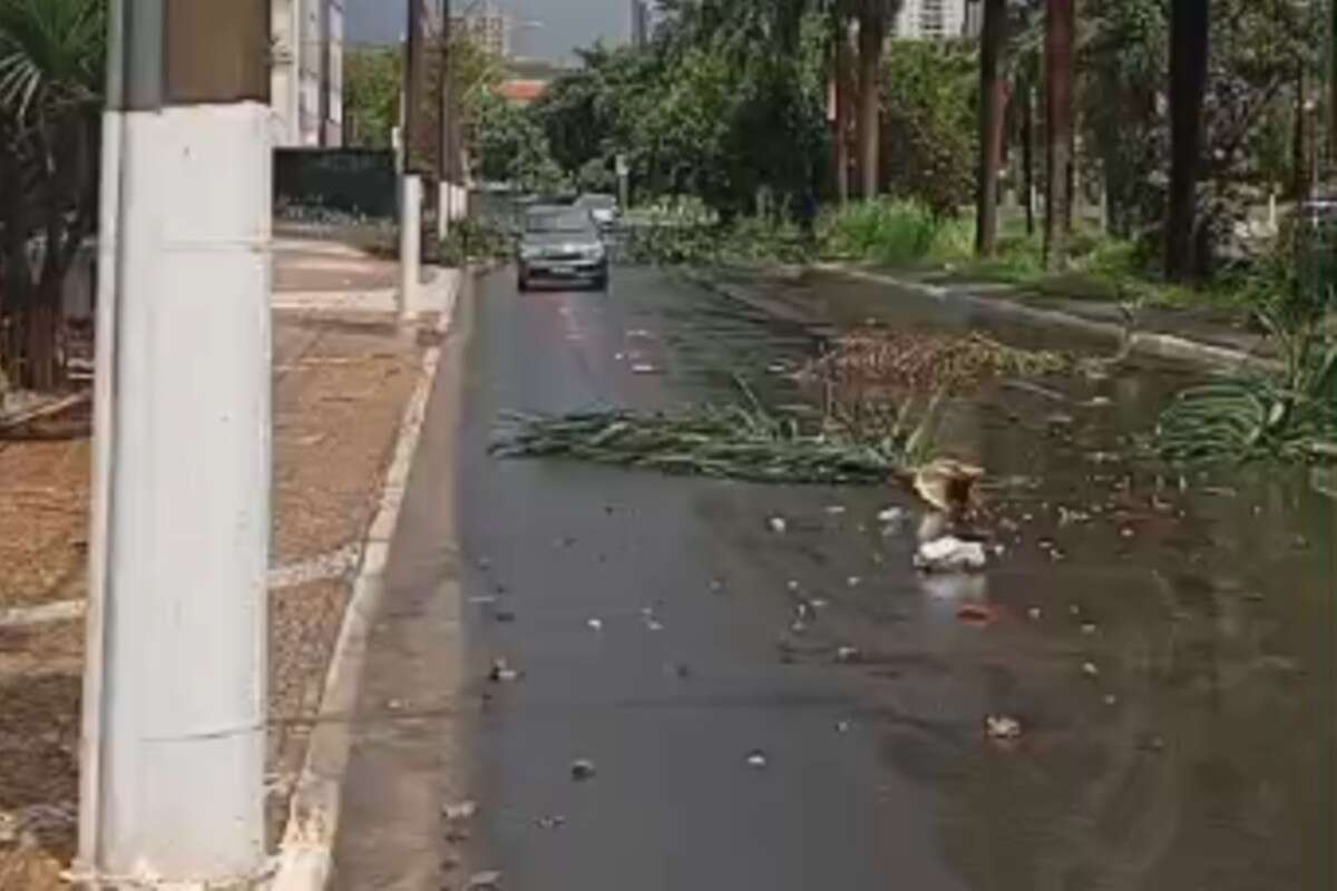 Chuvas, granizo e raios: o clima em SP no 1º fim de semana do ano