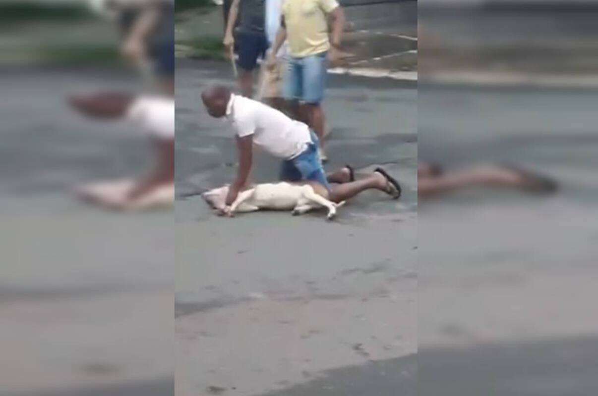 Vídeo: PM “monta” em pit-bull feroz após ataque brutal a cachorro