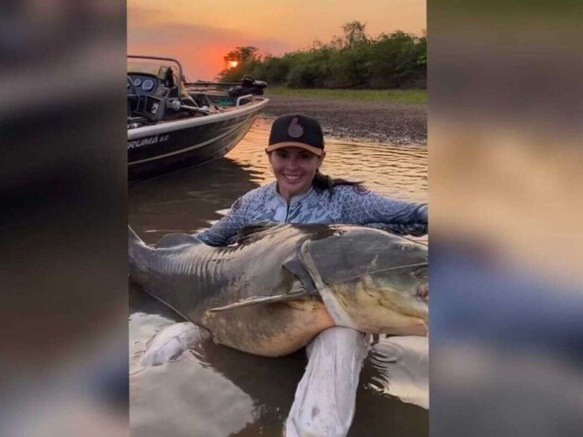 Pescadora fisga jaú gigante em Mato Grosso do Sul. Vídeo