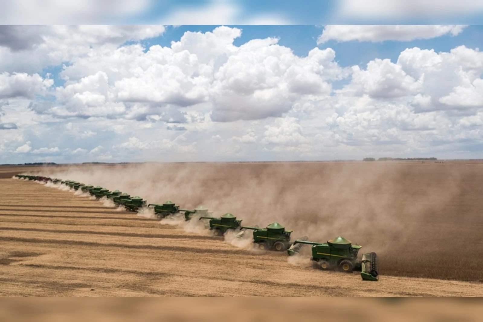 Quais são e quanto devem as maiores empresas do agro em recuperação judicial