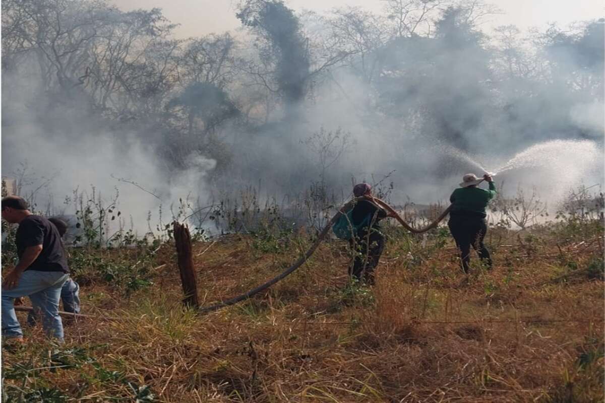 Incêndio em parque faz Federal de Uberlândia evacuar campus. Vídeo