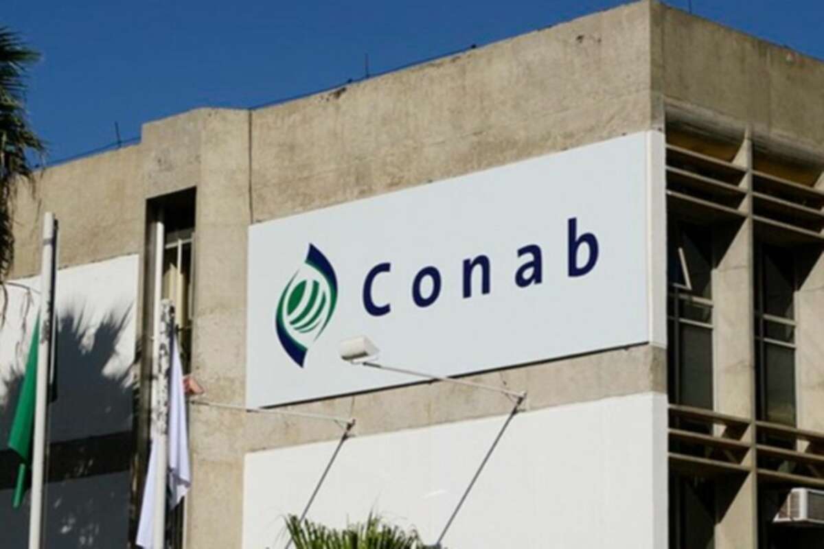 Concurso da Conab: edital em março, segundo o governo; 403 vagas