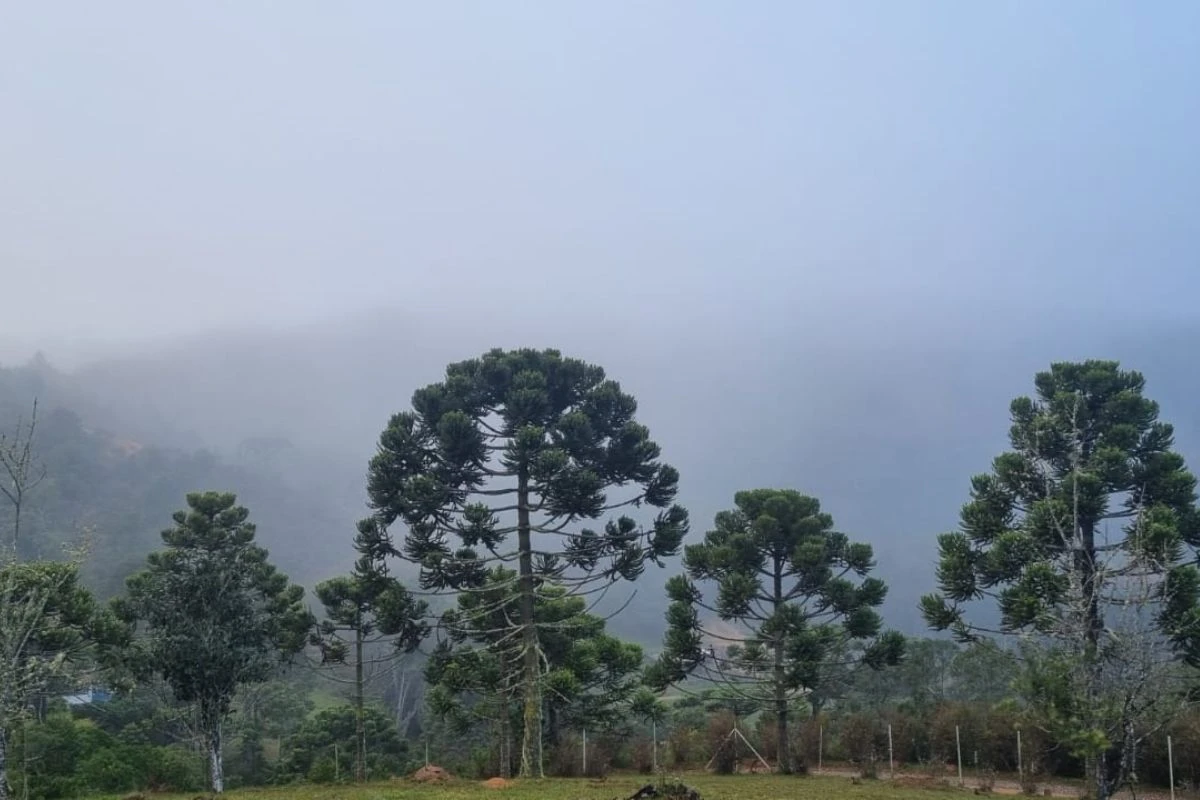 Campos do Jordão registra 2,7ºC e bate recorde de frio nesta madrugada