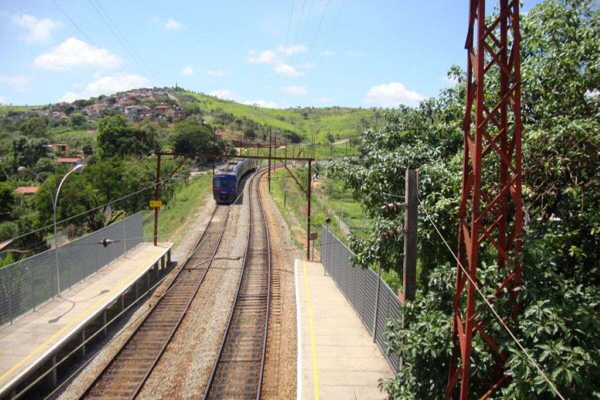 Bois são atingidos por trem na Linha 7-Rubi e circulação é alterada