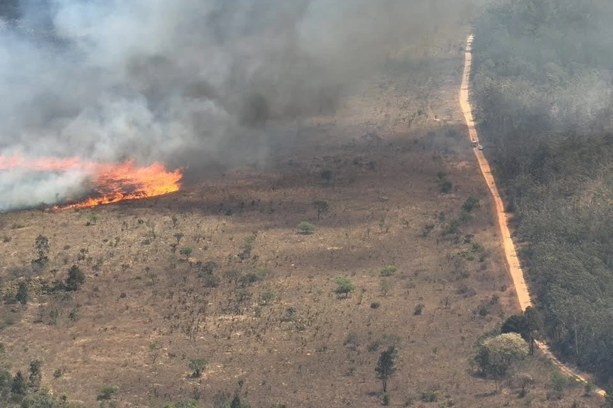 Incêndio florestal devasta 5,86% da Floresta Nacional de Brasília