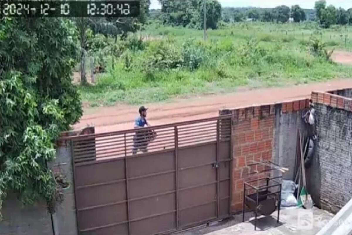 Ladrão furta cerveja de caminhão enquanto motorista almoça. Vídeo