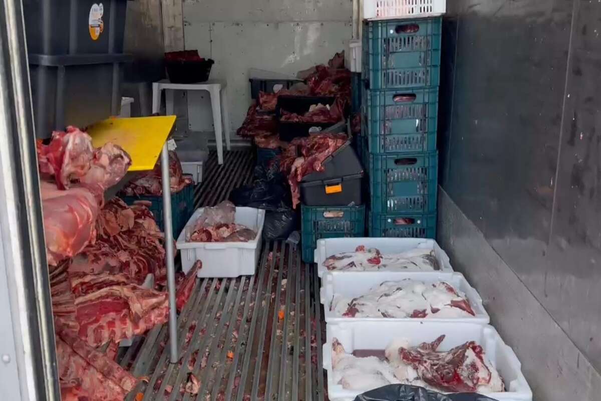 Carne podre e com moscas virava charque e era vendida em comércio