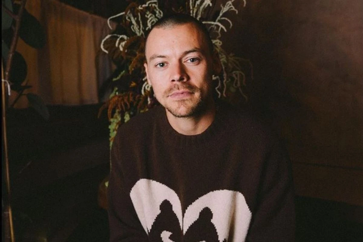 Mercado erótico: Harry Styles lança sex toy e se junta a outras celebs