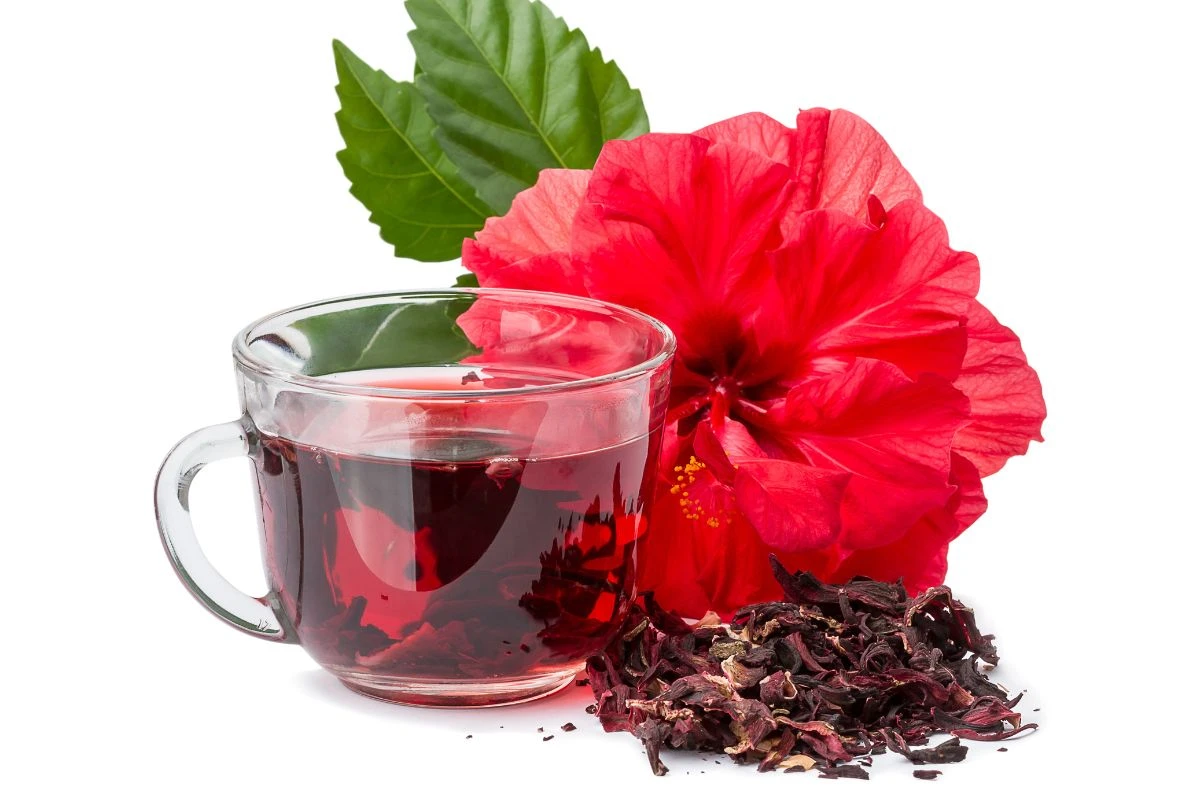 O que acontece no corpo se você bebe chá de hibisco todos os dias
