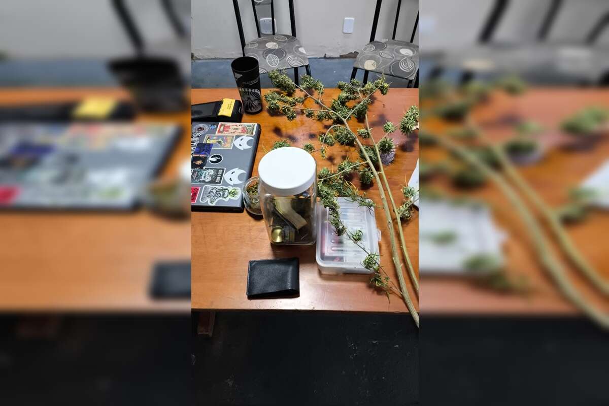 Servidor do Detran que liberava documentos tinha plantação de maconha em casa