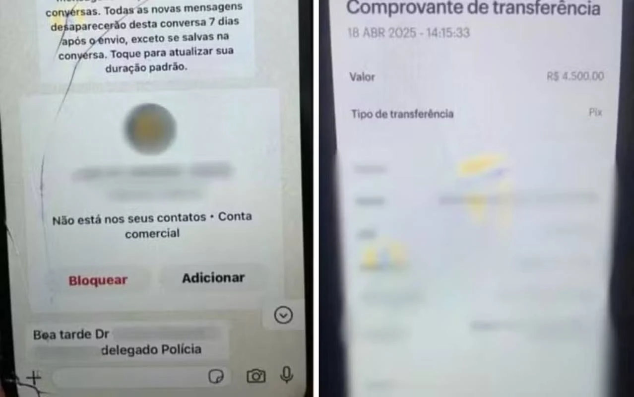Mulher sofre golpe e transfere R$ 4,5 mil para falso delegado em GO
