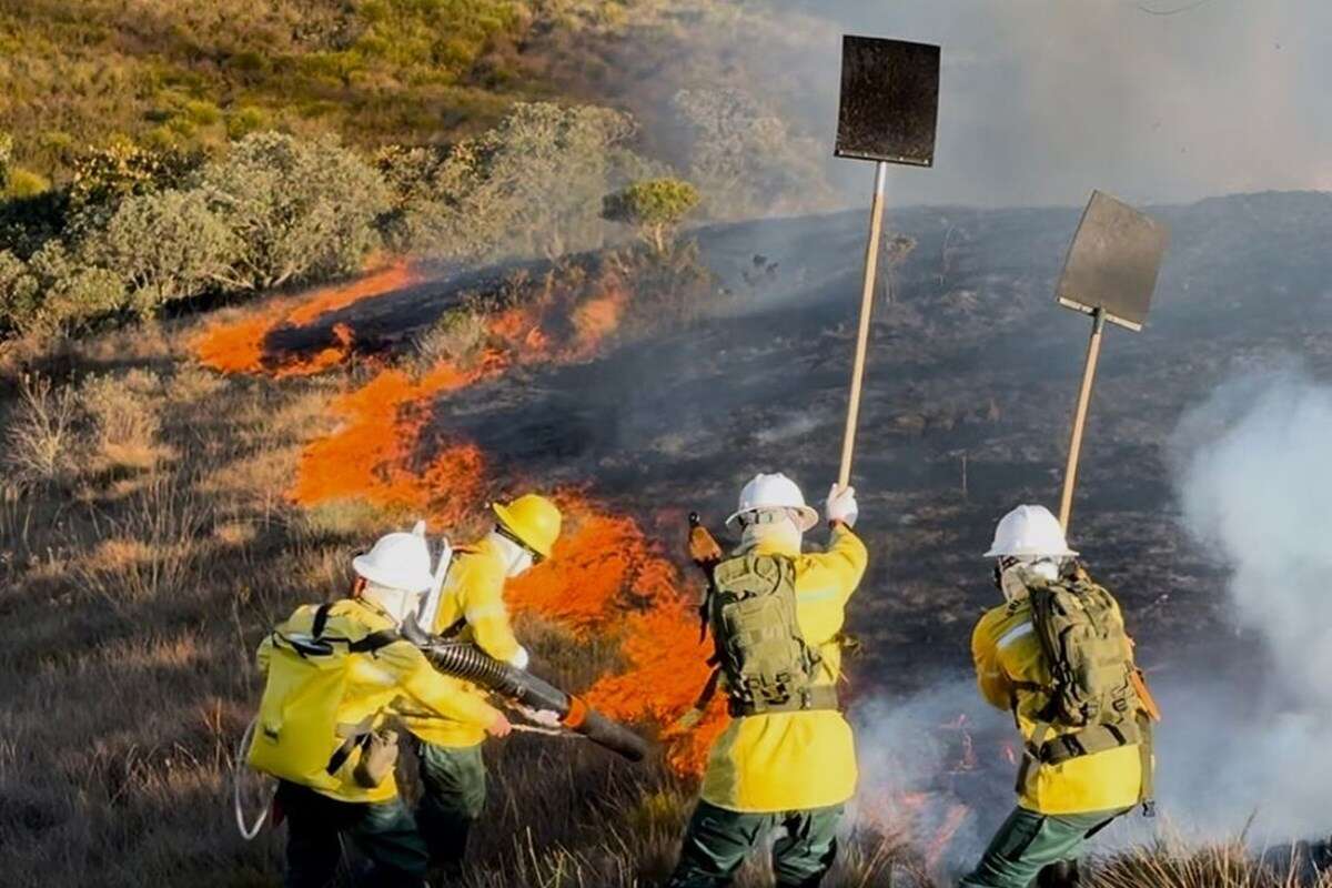 Brigada em MG relata o trabalho exaustivo contra incêndios florestais