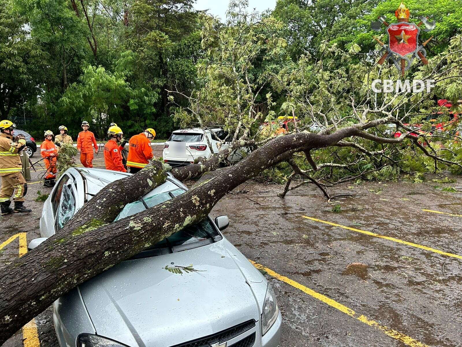 Chuva derruba árvores e destrói carros no DF; motorista escapa ileso