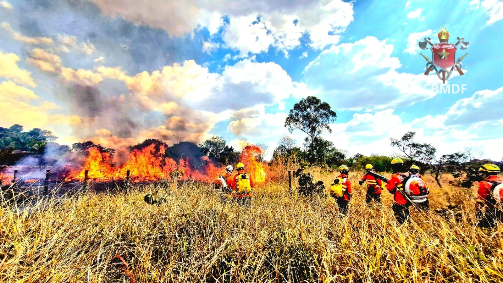 Queimadas devastam área equivalente a 100 campos de futebol no DF