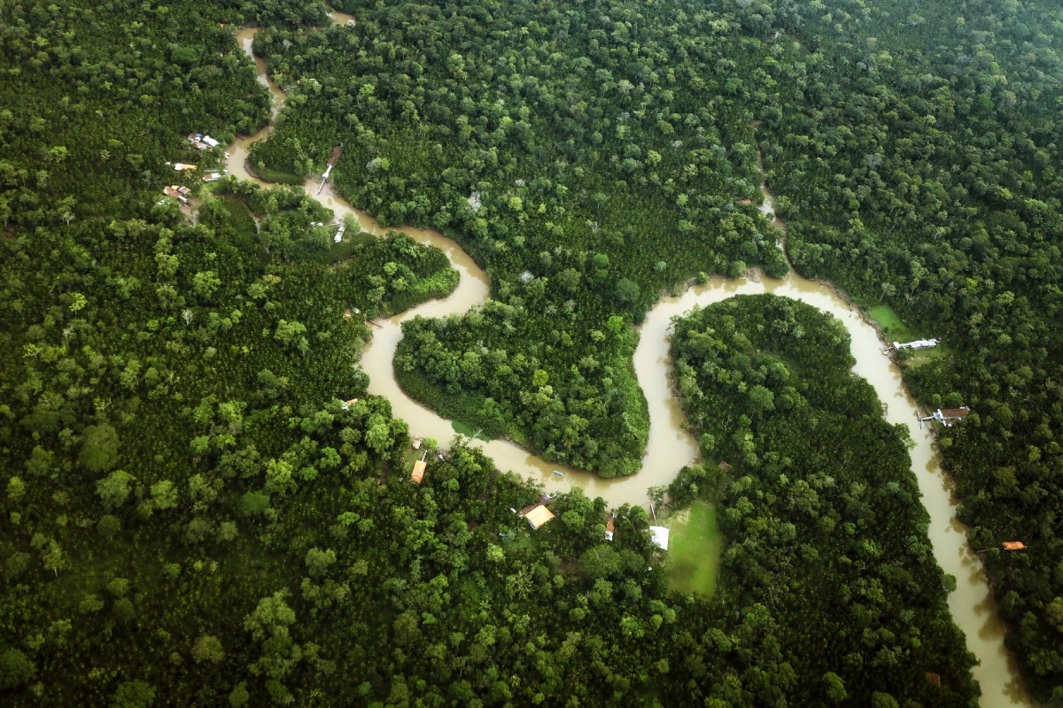 COP30: com redução de 55% no desmatamento, Pará leva resultado inédito