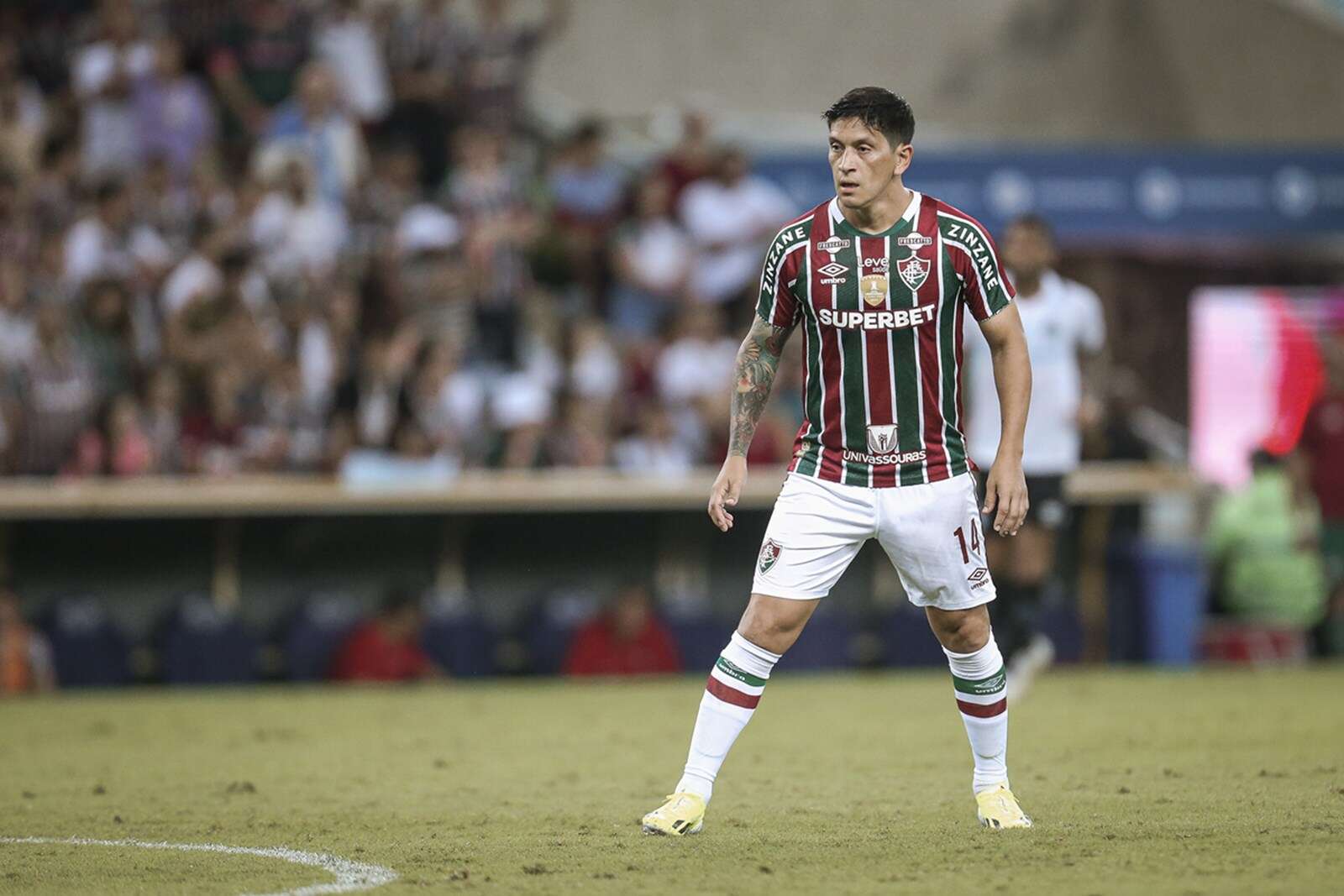 Após temporada discreta, Cano busca reabilitação no Fluminense