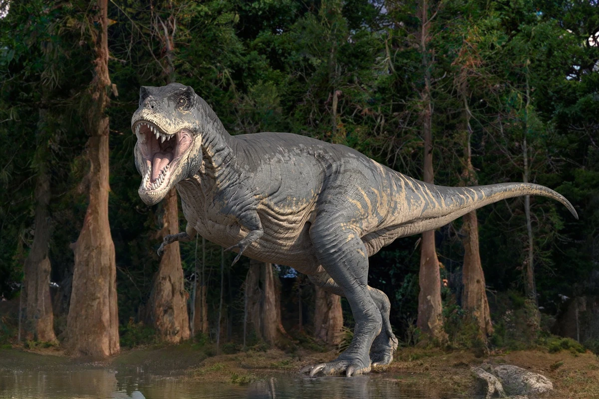 Cientistas acham vasos sanguíneos preservados em fóssil do maior T-Rex