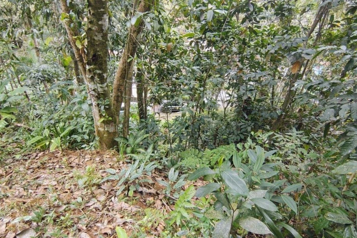 Pai recria “largados e pelados” com filho e acaba na mira da polícia