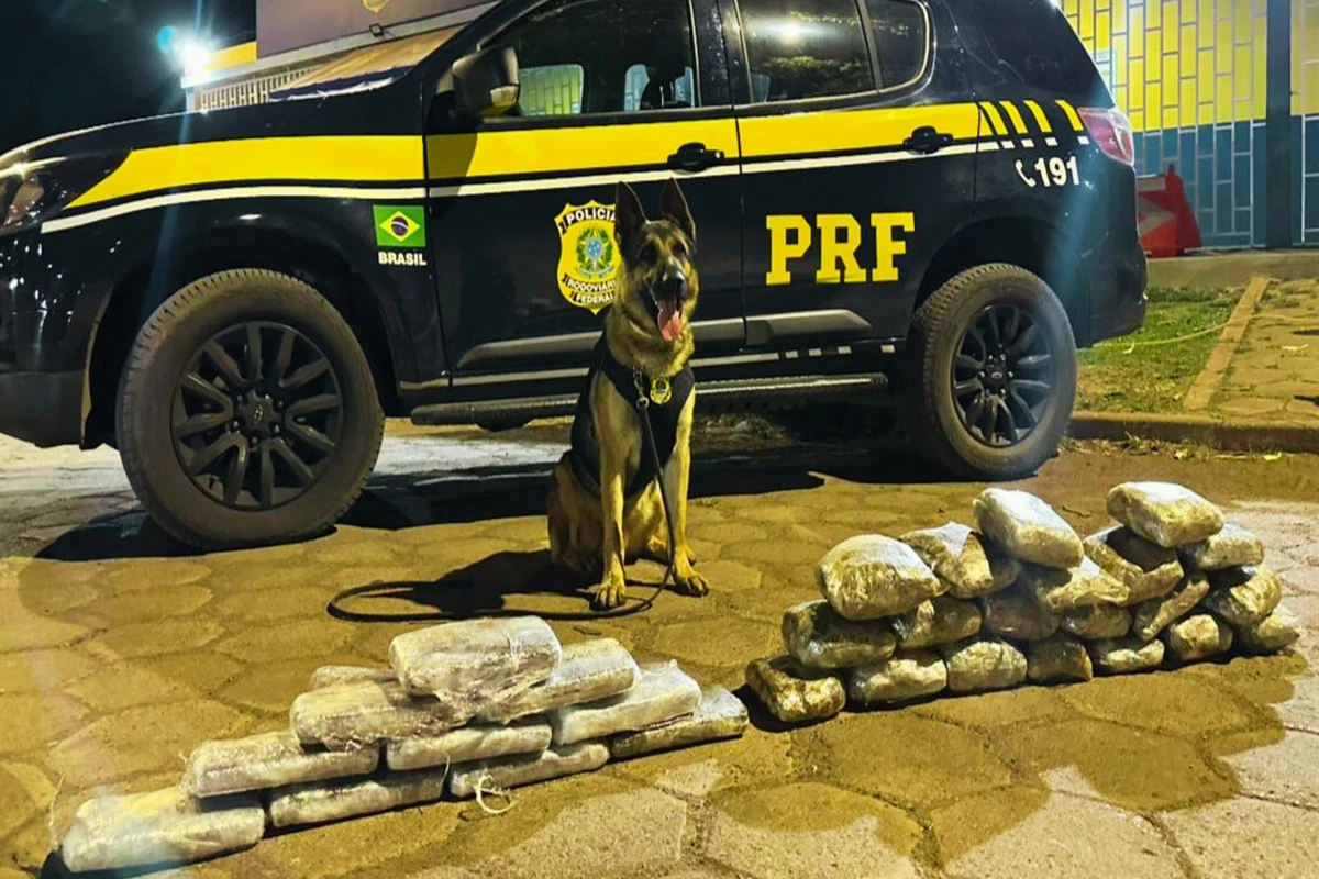 Cachorro acha 20 kg de drogas em mala e estraga viagem de traficante