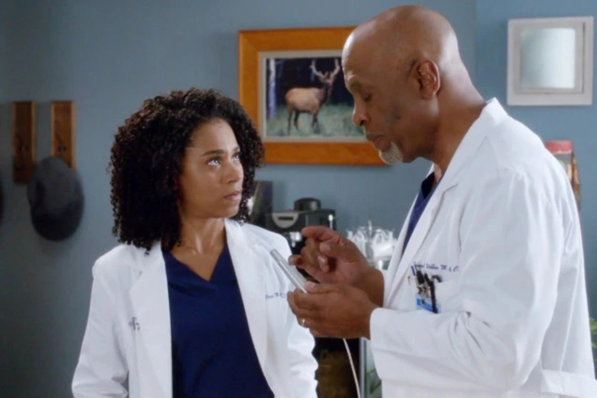 Pesquisadora da Unicamp criou tecnologia que inspirou Grey’s Anatomy