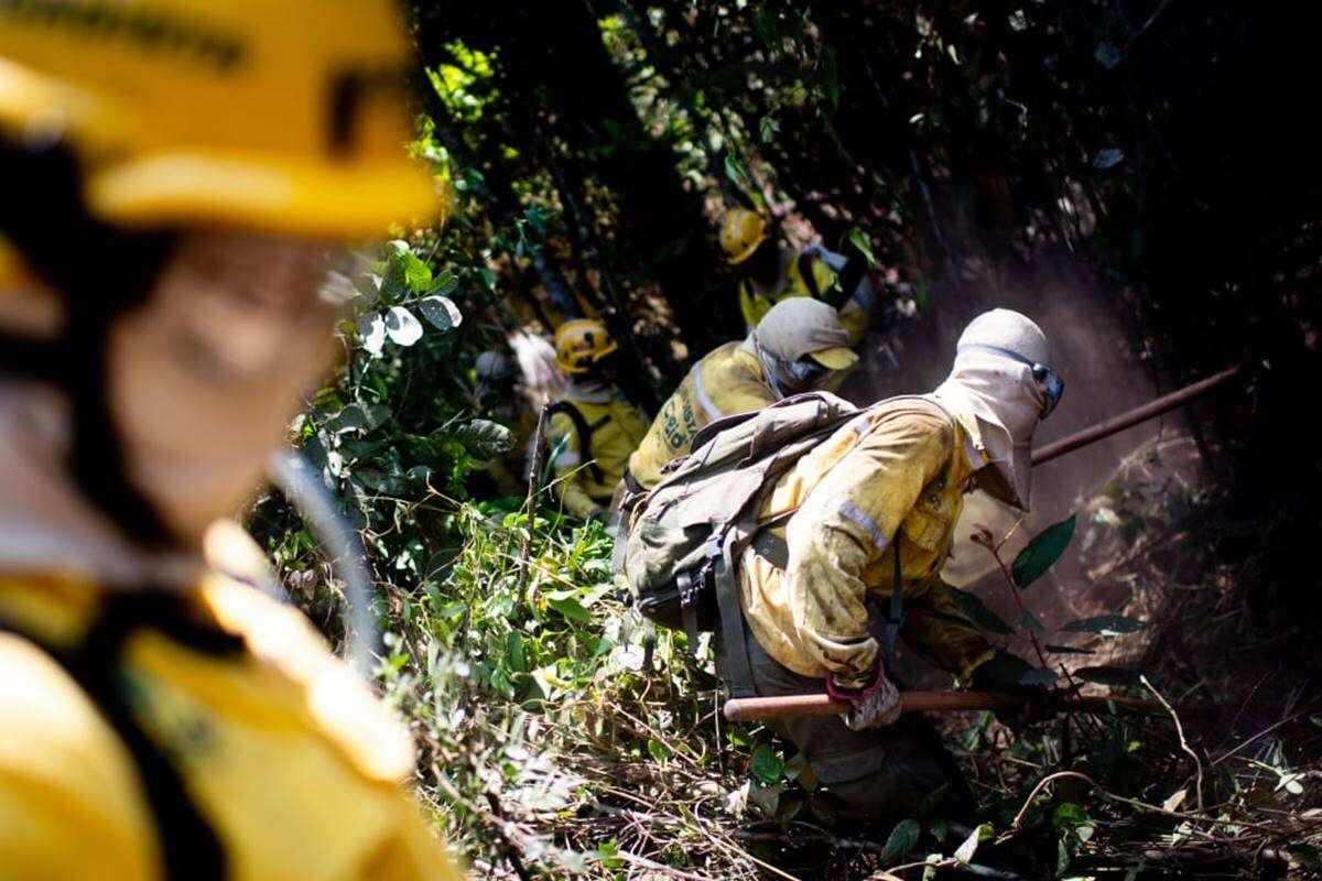 Bombeiros fazem rescaldo em dois pontos do Parque Nacional de Brasília