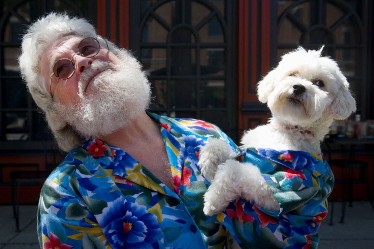 Calmos e carinhosos: as melhores raças de cães para tutores sossegados