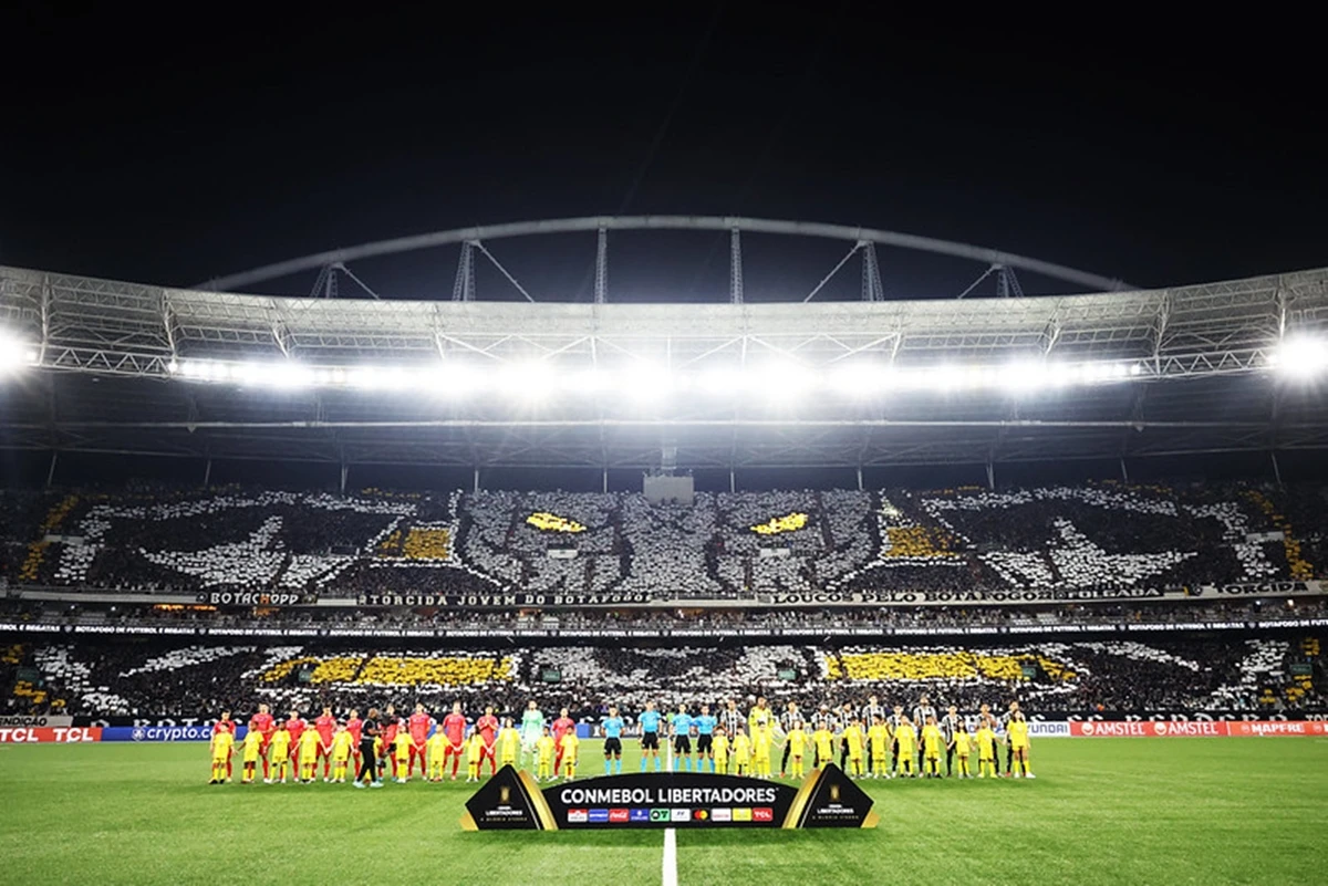 Libertadores: Renato Paiva exalta torcida em classificação do Botafogo