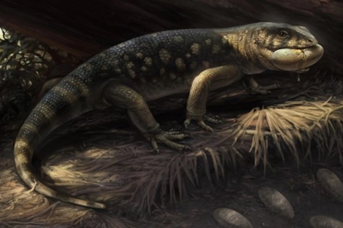 Lagarto pré-histórico gigante ganha nome de personagem de O Hobbit