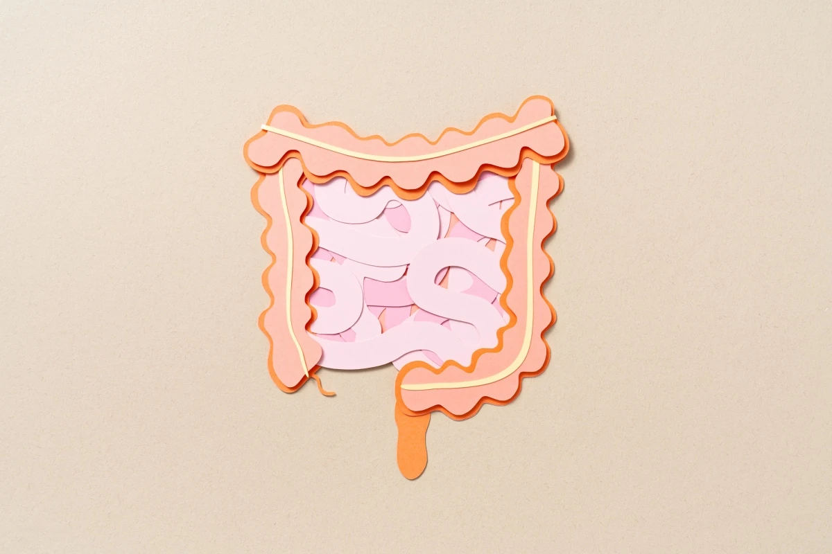 Probióticos podem reduzir danos intestinais causados por antidepressivos