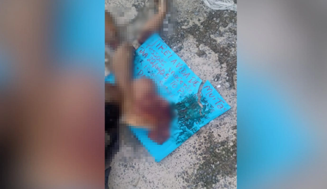 Matadores do CV cortam cabeça e membros de rival: “Mexeu com a tropa”