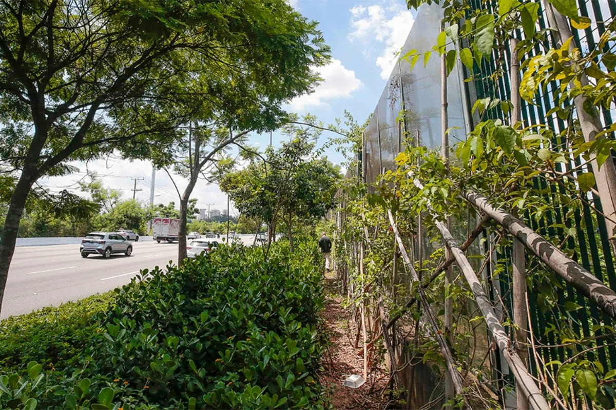 USP inicia demolição do muro de alvenaria da raia olímpica