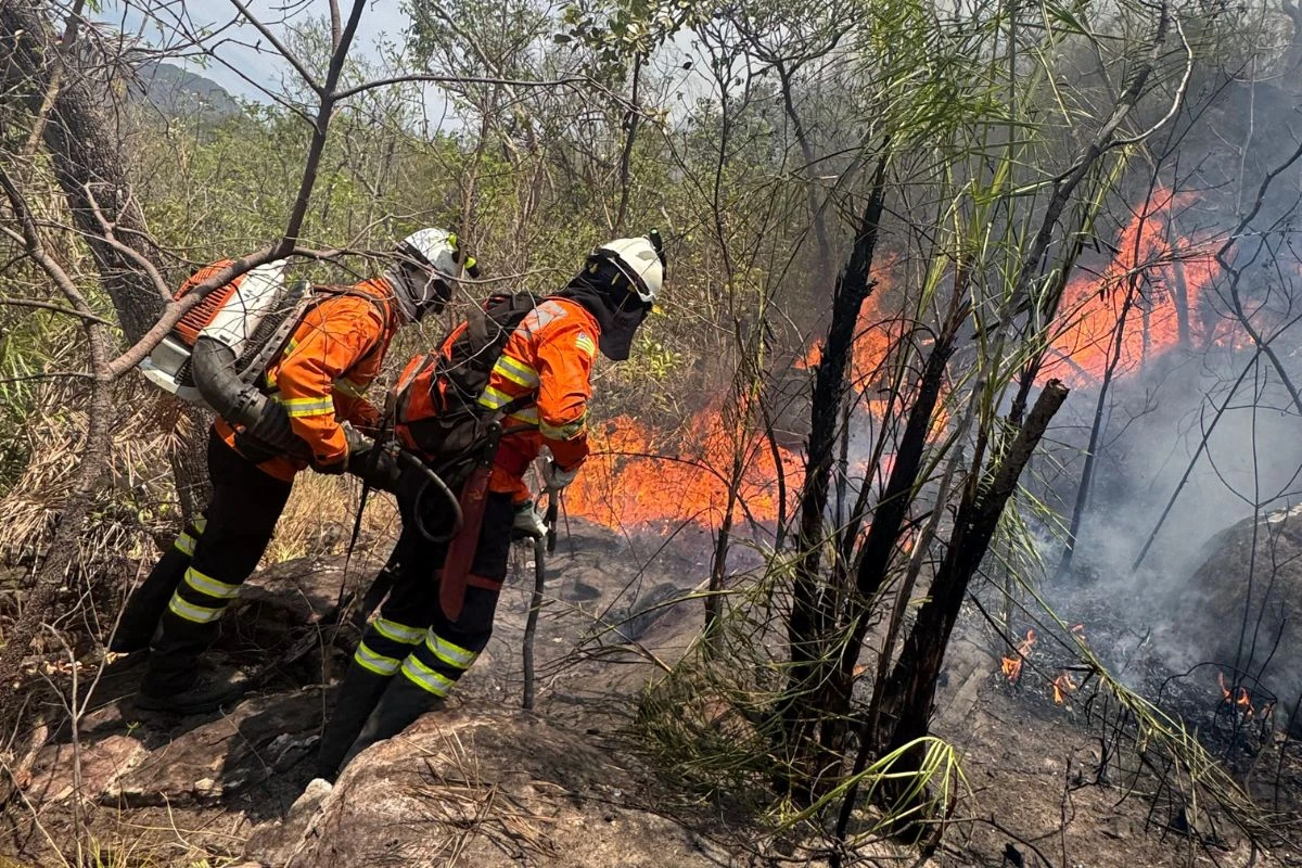Chapada: incêndios chegam ao 15º dia e atingem Parque Nacional