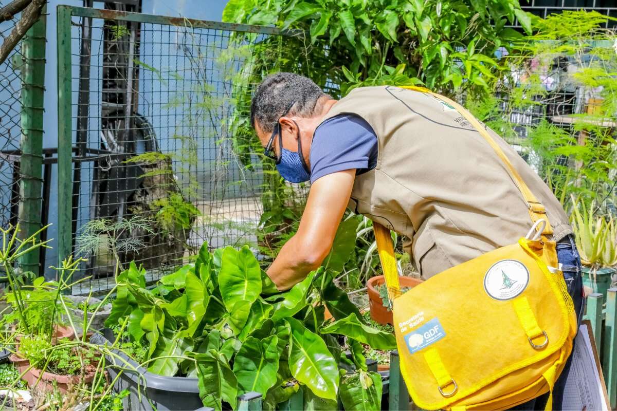 Distrito Federal reforça as ações de prevenção e combate à dengue 