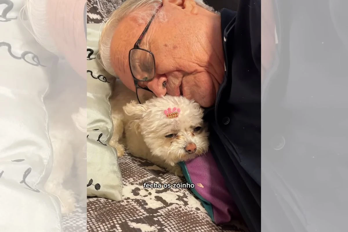Vídeo: avô de 86 anos encanta web por rotina “fofa” com cadelinha Jade