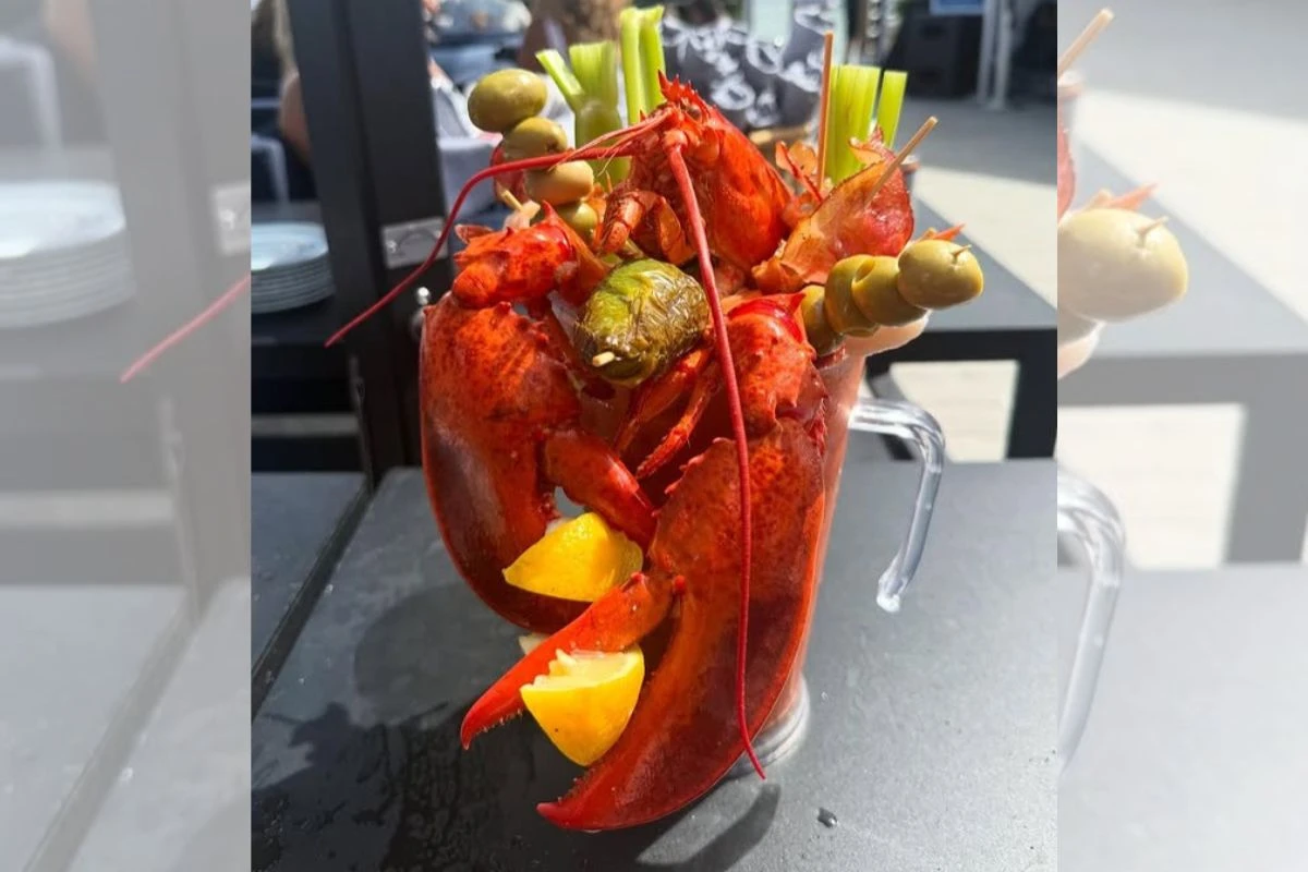 Drink com lagosta inteira por R$ 655 vira atração em restaurante
