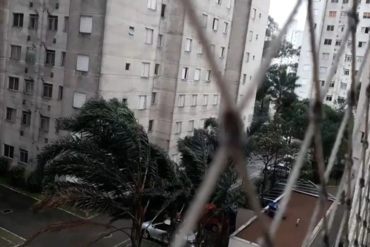 Rajadas de vento em SP chegam a 80 km/h durante a tarde. Saiba onde