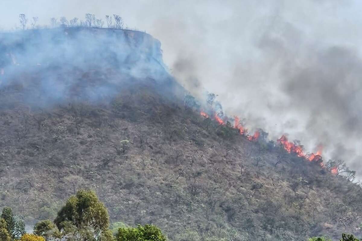 Primavera inicia com risco de incêndio em SP, alerta Defesa Civil