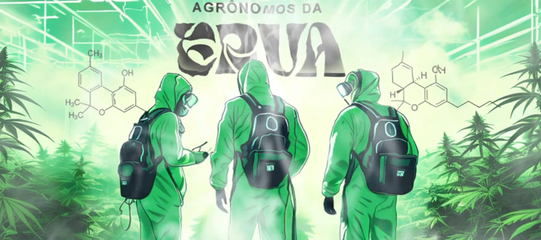 Venda de “sementes da noia” faz agrônomos da erva pegarem pena pesada