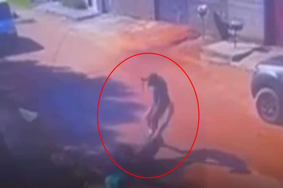 Vídeo: homem agoniza até a morte após levar ao menos 7 facadas na rua